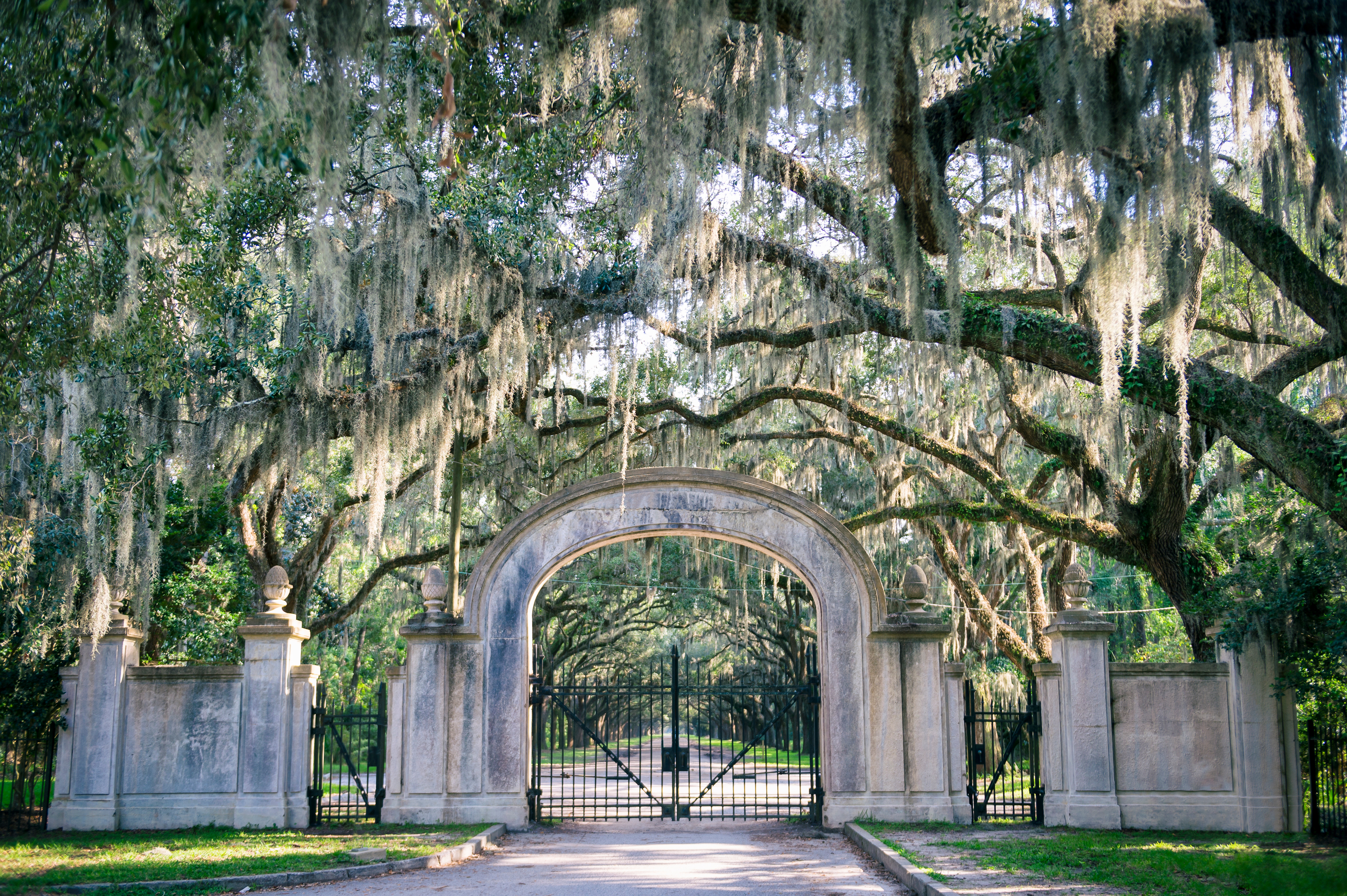 Savannah Squares